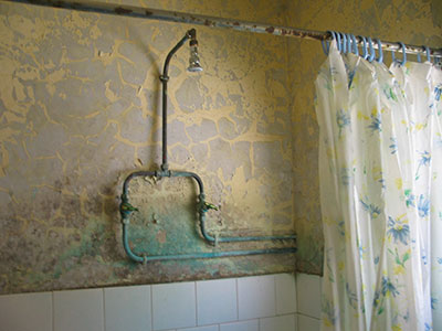 Before Image 11