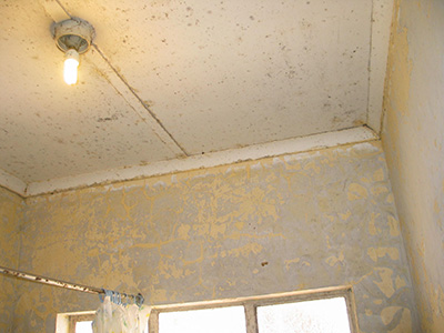 Before Image 12