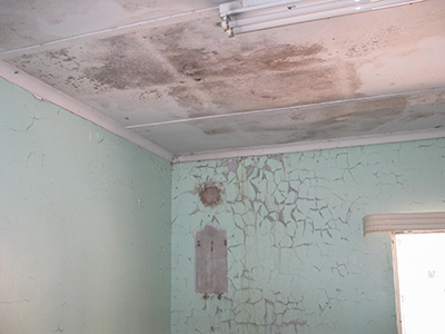 Before Image 13